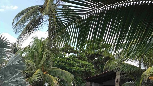 A swimming pool with a slide, surrounded by palm trees and a lounge area with chairs. - In Front of the Beach! Spacious 4-bedroom villa in charming Sonsonate with AC. (Sonsonate)
