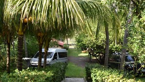 A pathway leading to parked vehicles, surrounded by lush greenery and palm trees. - In Front of the Beach! Spacious 4-bedroom villa in charming Sonsonate with AC. (Sonsonate)