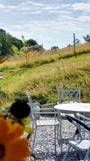 Outdoor dining - Barn Sleeps 4 with Enclosed Garden (Cilcain)