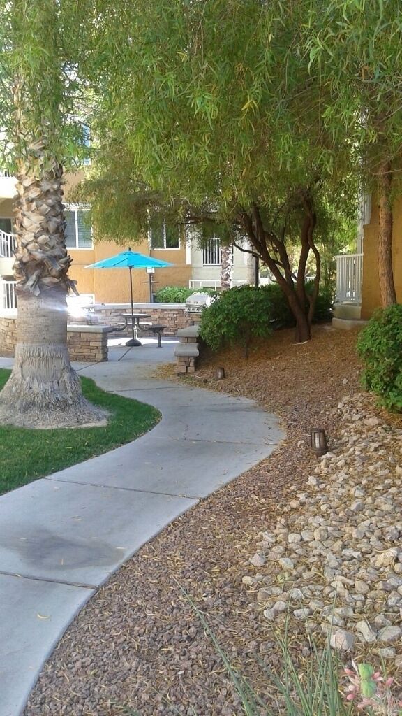 A paved pathway, a palm tree, a blue umbrella, and a building with a brick facade.