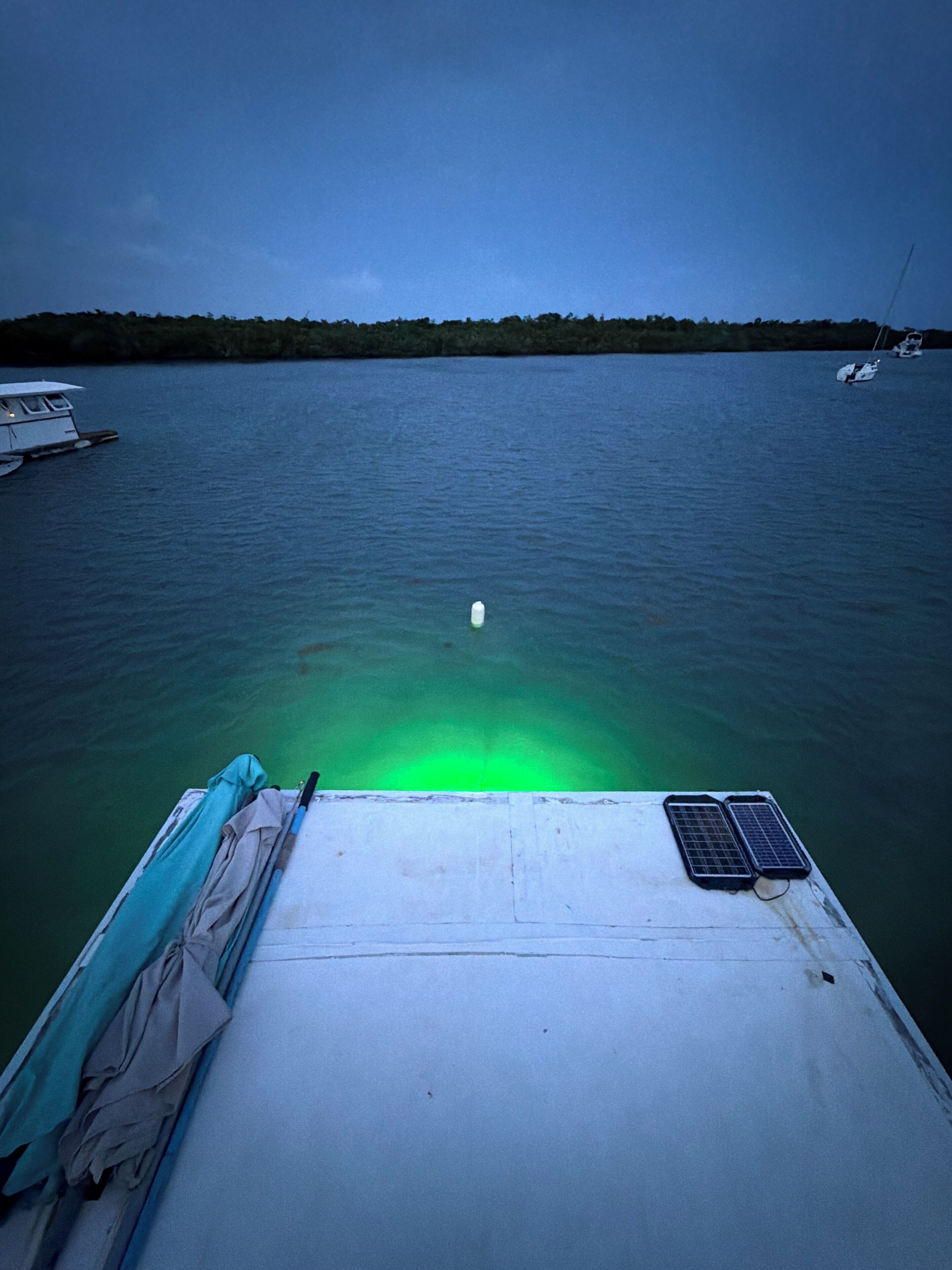 Das Deck eines Bootes mit Blick auf ruhiges Wasser und eine entfernte Küste.