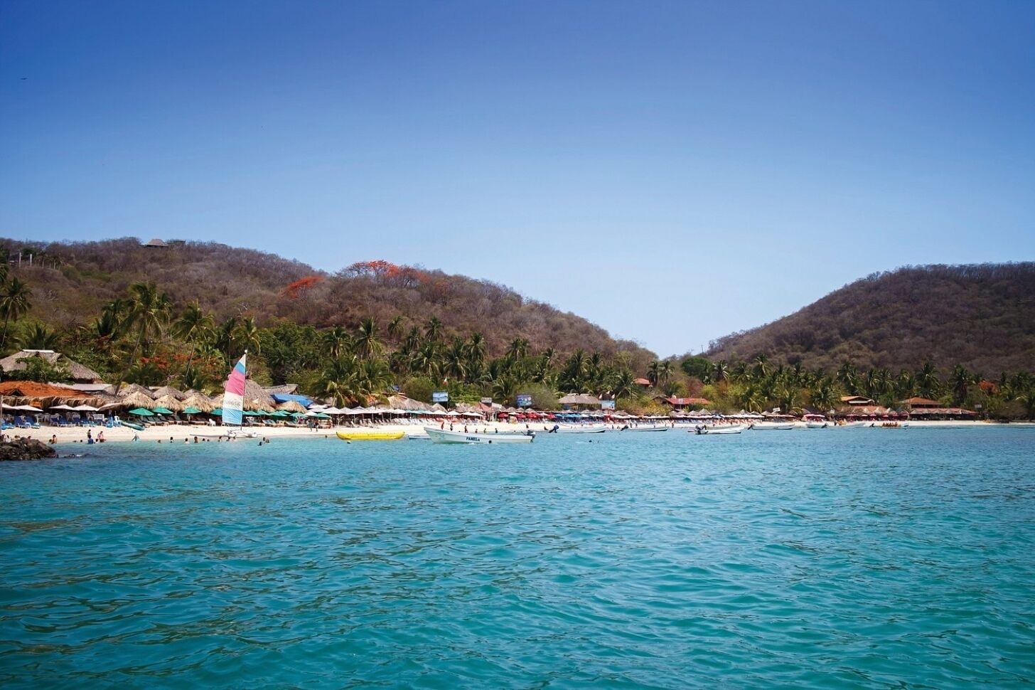在海灘附近