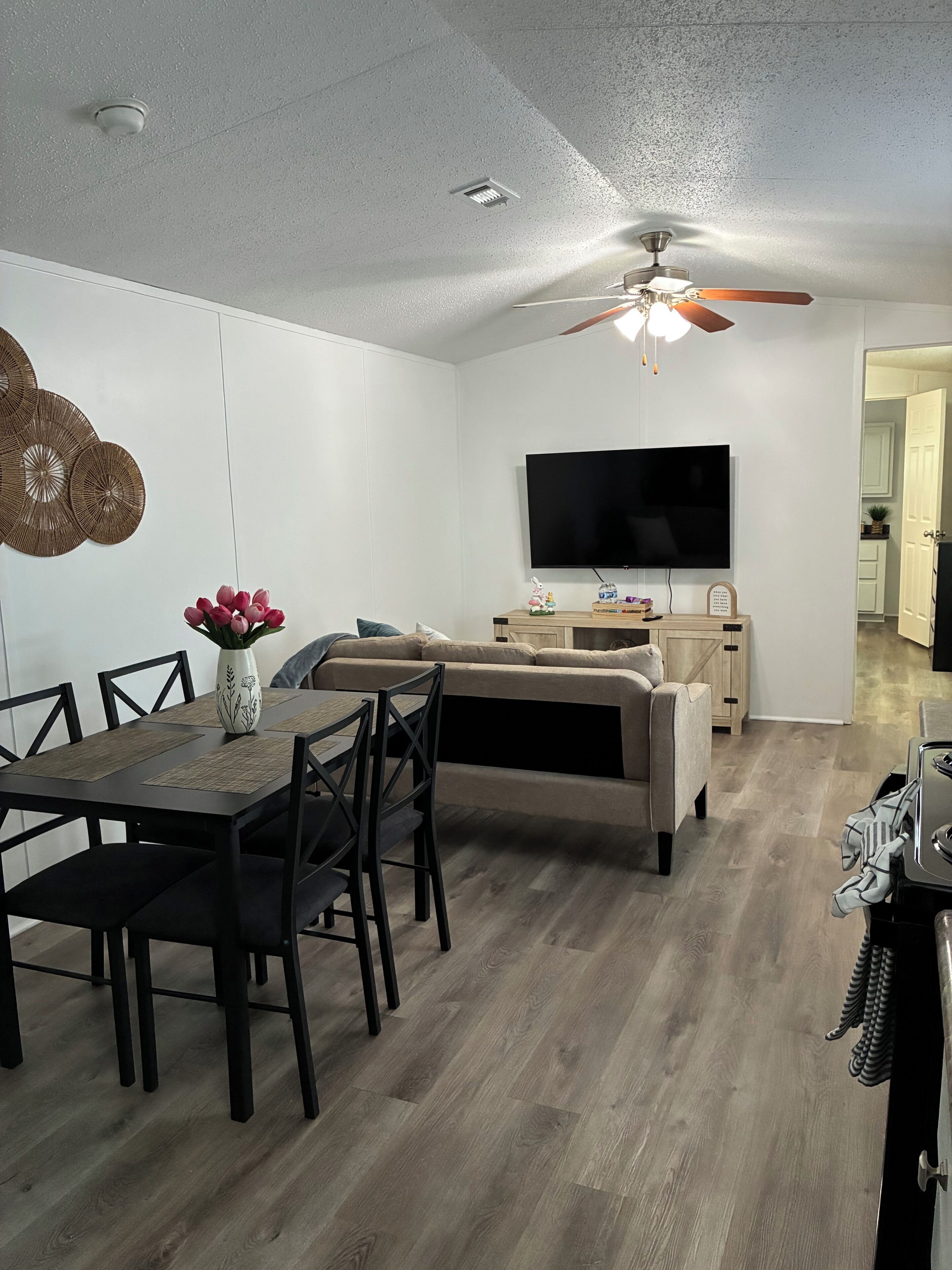 Smart TV, DVD player, books