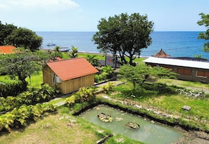 Exterior - Rumah Putih – Great Value Beachfront 1BR with Pool & Garden (Buleleng)