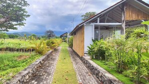 A house with a paved pathway leading to a wooden door, surrounded by lush greenery and a stone wall.