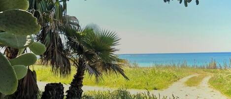 Plage