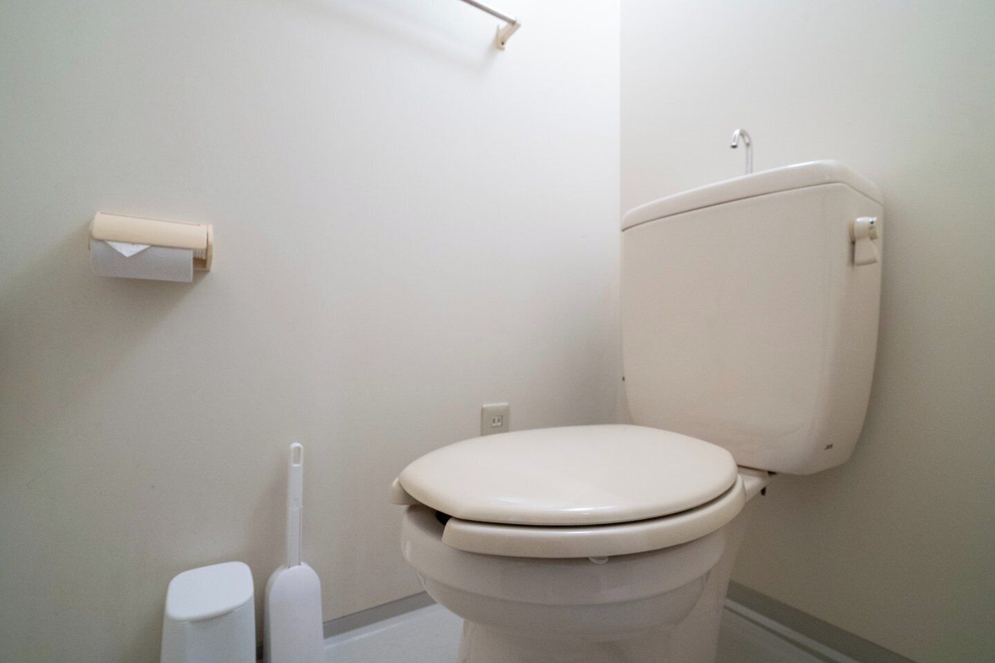 Um sanitário com a tampa fechada, um rolo de papel higiênico no suporte na parede, e uma lixeira ao lado do vaso.