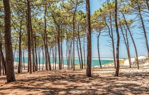 Beach - Superbe maison avec piscine (Andernos-les-Bains)