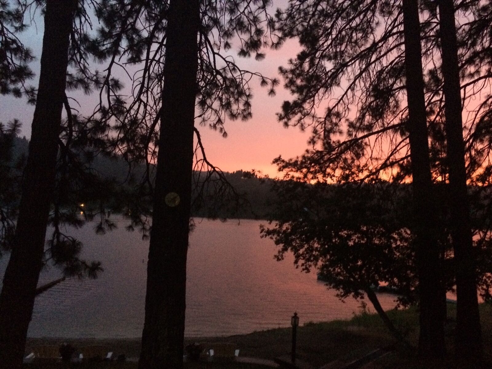 A tranquil lakeside view with trees framing the scene.