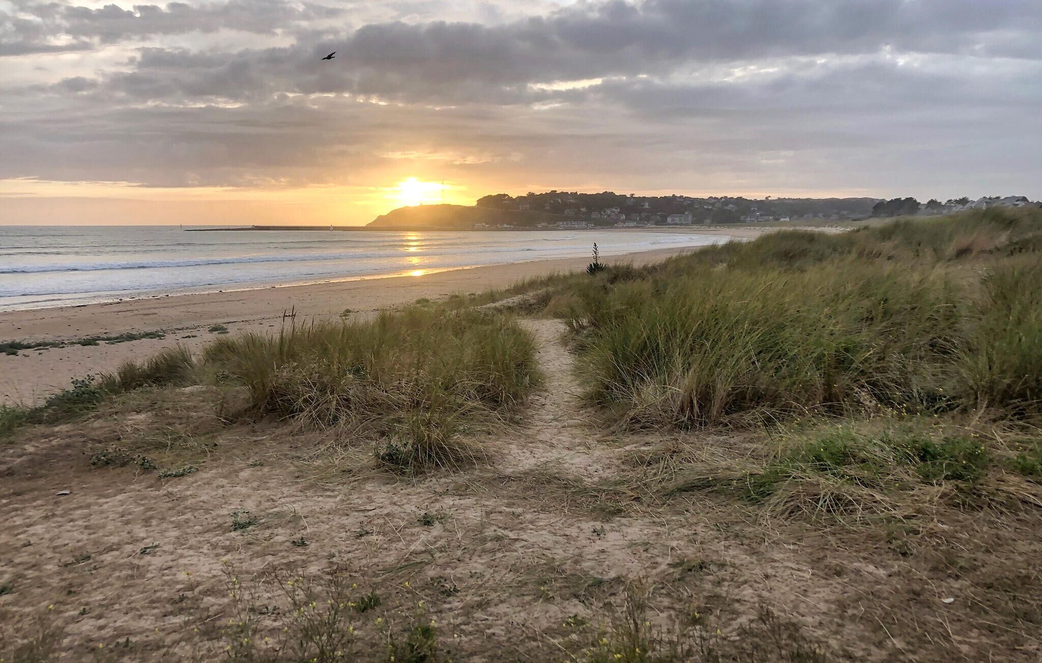 Ein Strandweg, der zum Meer führt, mit einem Sonnenuntergang im Hintergrund.