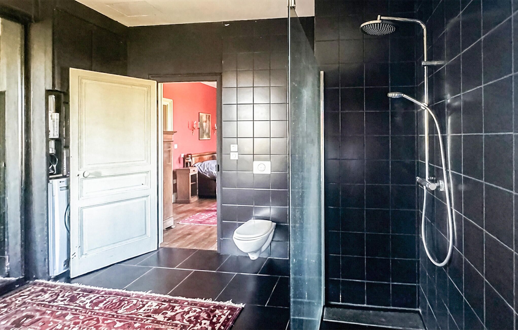 Shower, hair dryer