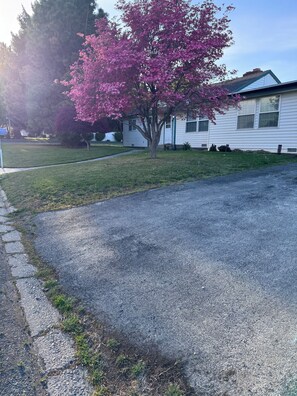 Property grounds - Lovely, quiet, and peaceful 2-bedroom home in West Yakima. (Yakima)