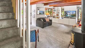 Ein Wohnzimmer mit Kamin, einer Couch, einem Fernseher und einem Bücherregal.