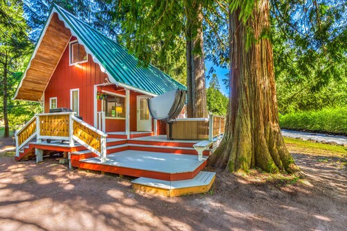 Riverside cabin near Mount Rainier with hot tub!
