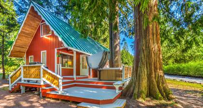 Riverside cabin near Mount Rainier with hot tub!