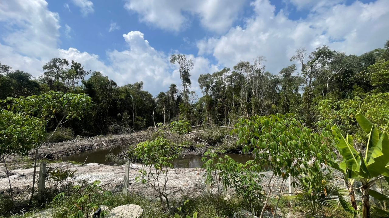 A natural landscape with a river, trees, and a clear sky.