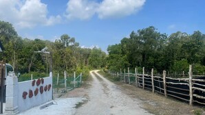 A rural road leading to a fenced property with a white wall and a gate. - OYO 91303 Chalet Awie (Setiu)
