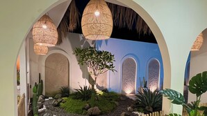 Un jardín interior ajardinado con cerca de madera, cactus y un árbol central.