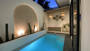 Una piscina con un muro bajo, una banca y cactus.
