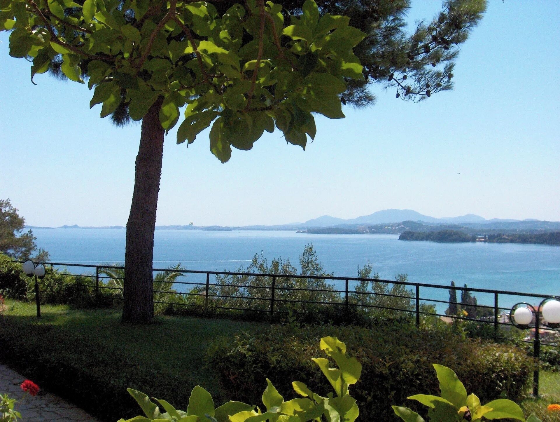 A tree-lined pathway leading to a body of water with distant mountains.