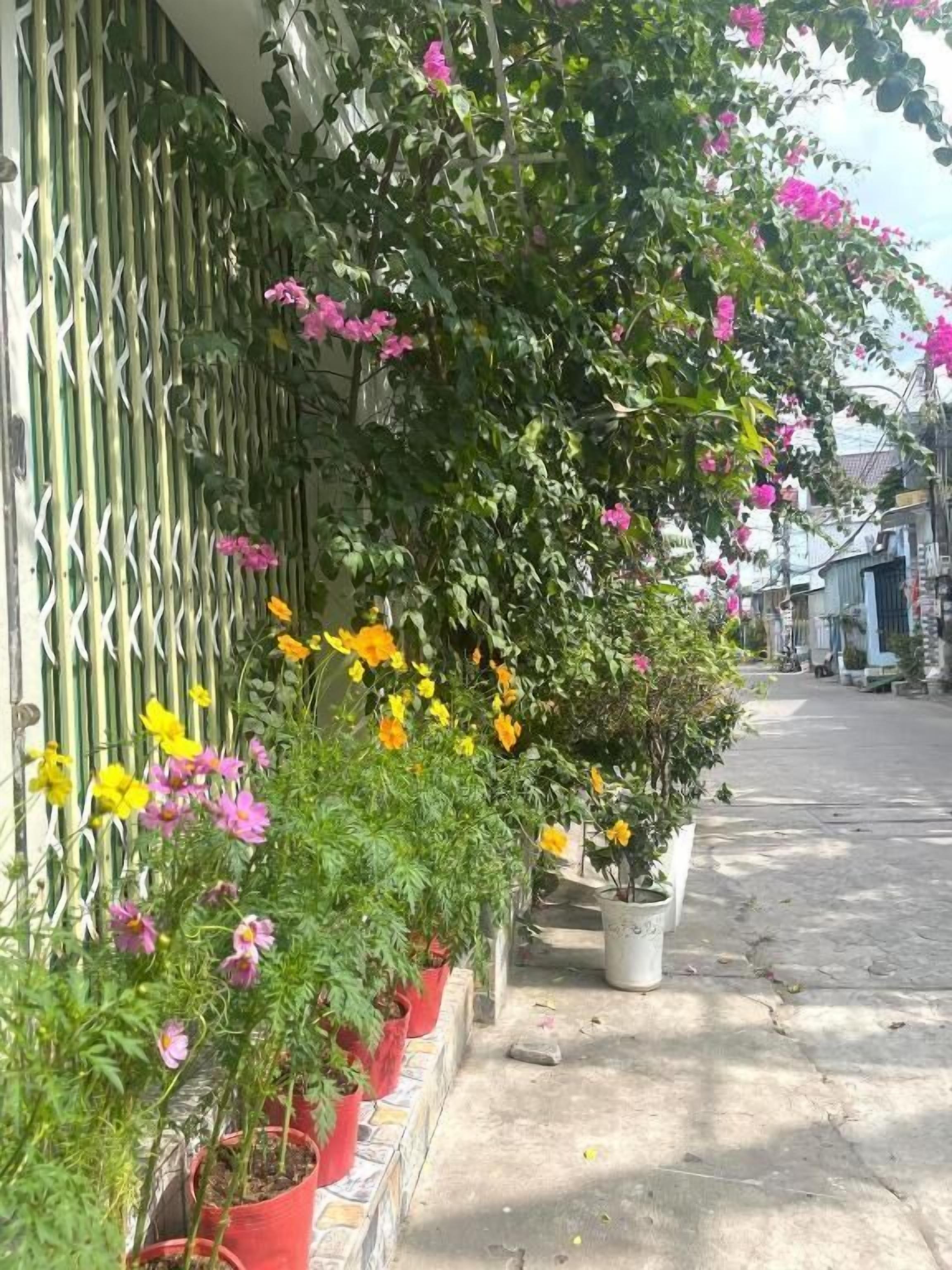 Basic Studio, Balcony, City View | Exterior detail