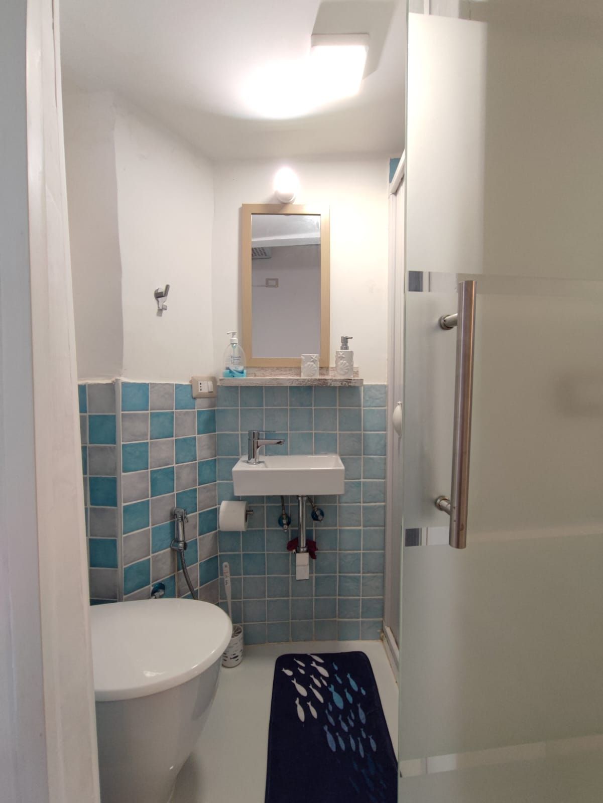 Une salle de bain équipée de toilettes, d’un lavabo, d’un miroir et d’une douche.