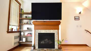 Smart TV, chimenea, libros, monitor de computadora