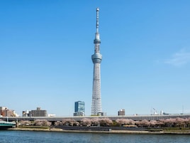 シティ ビュー