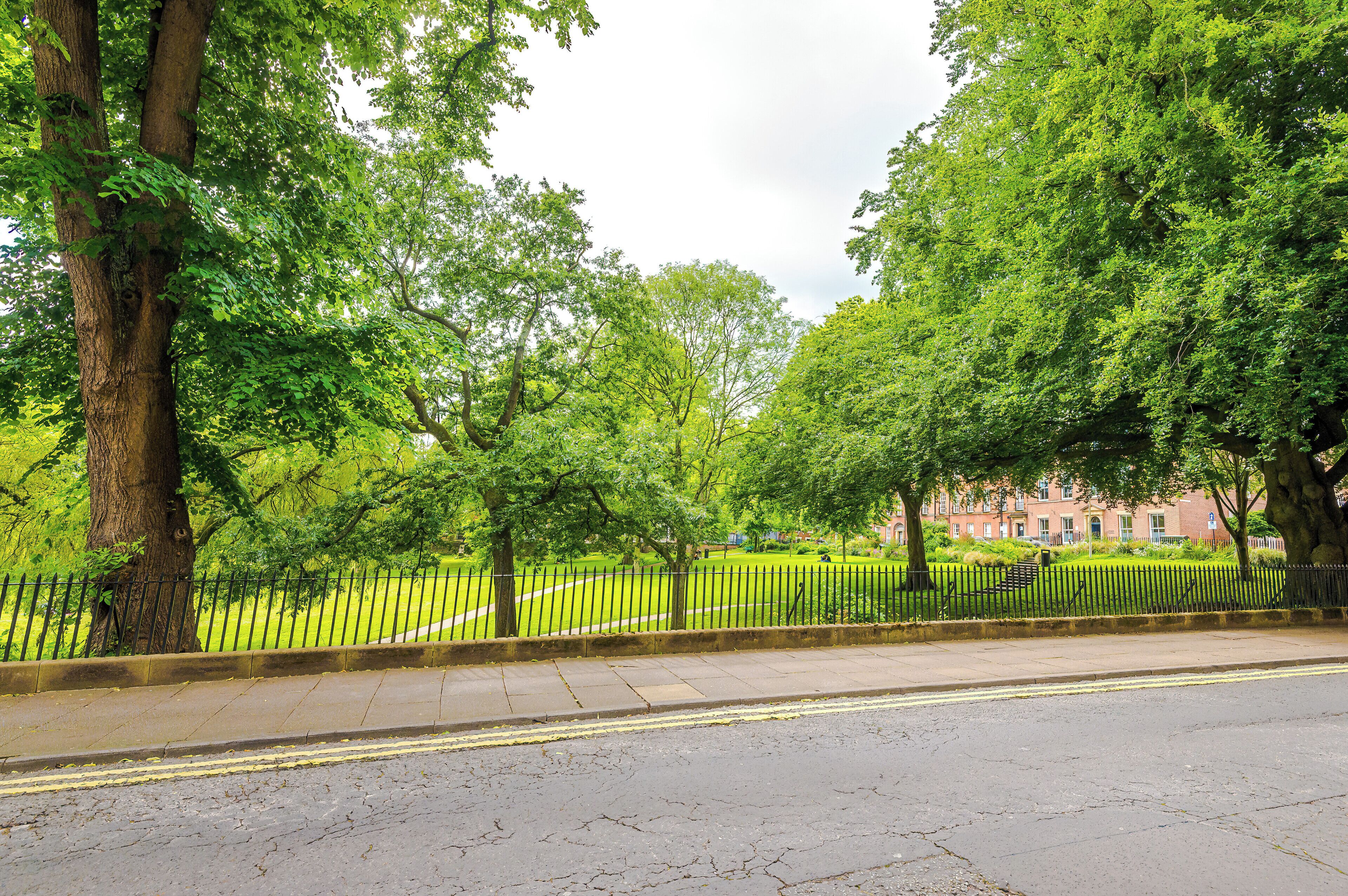 A tree-lined street with a paved sidewalk, a metal fence, and a building in the background.
