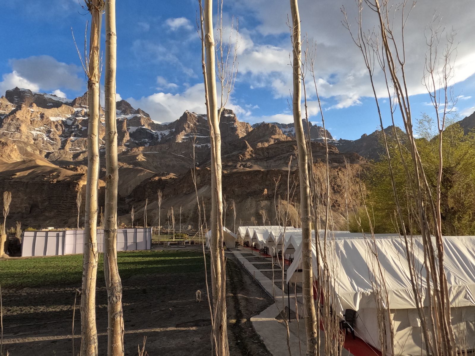 Deluxe tent | Overig