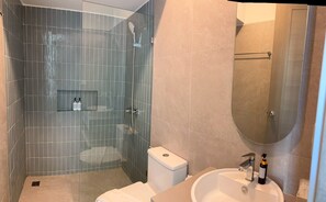 Shower, hair dryer, towels