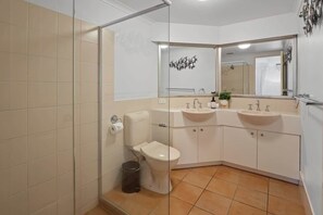 Regadera, secadora de cabello, shampoo 