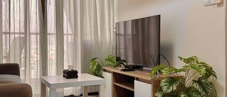 Fernseher