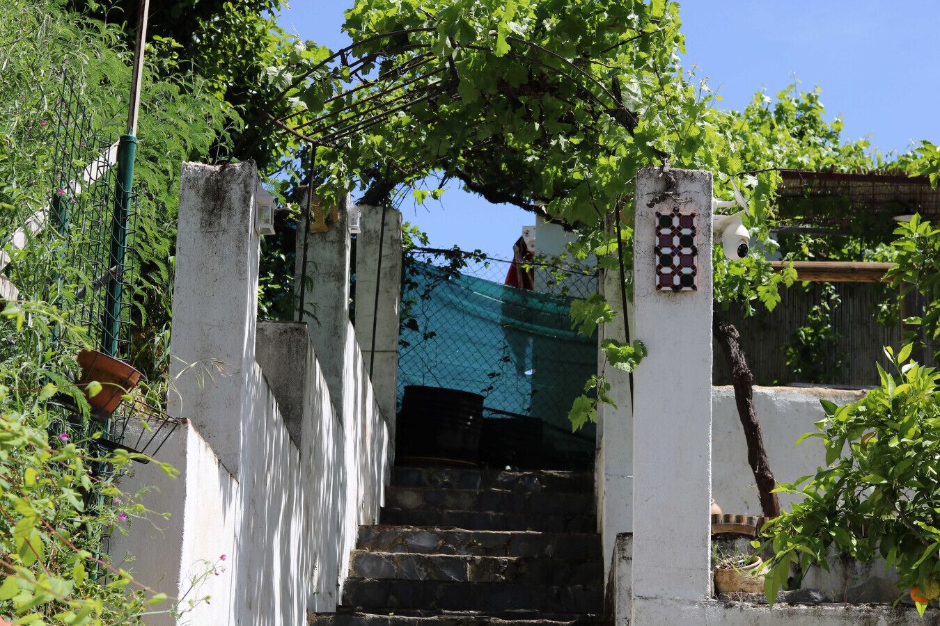 Détail de l’extérieur