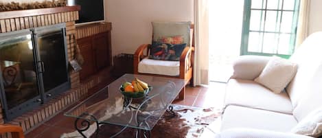 TV, fireplace