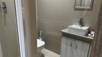 A bathroom with a toilet, a sink, and a mirror.