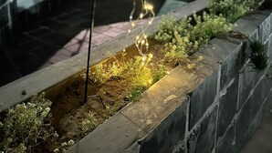 A garden area with a decorative lantern, a tree, and a bench. - Arise Boutique Guesthouse (KuGompo City)