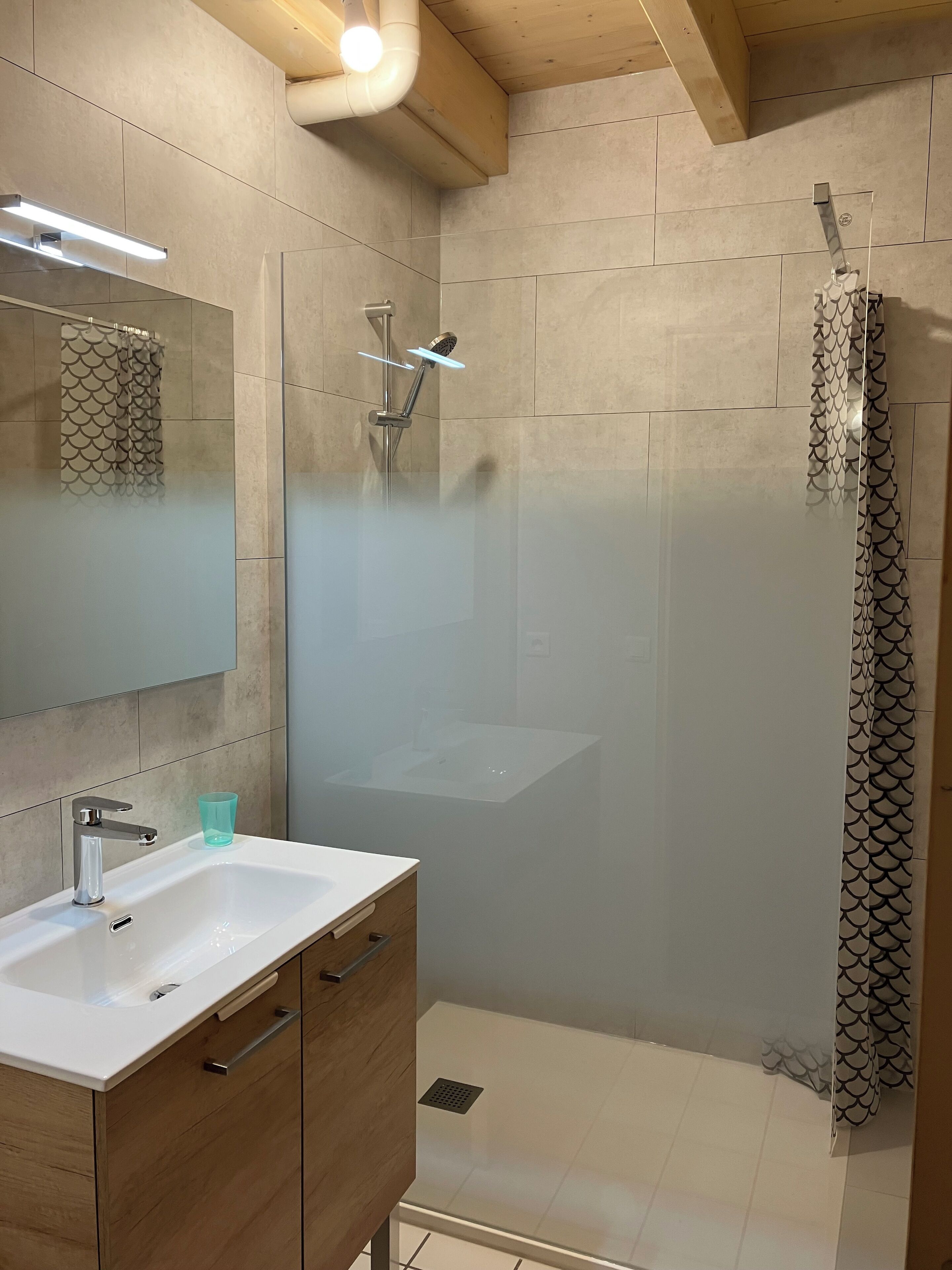 Shower, hair dryer, toilet paper
