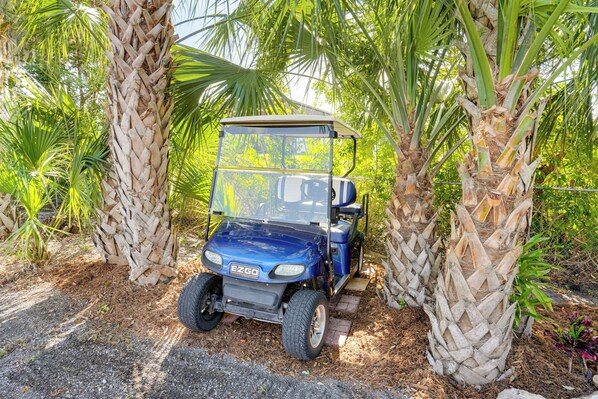 A blue golf cart parked between palm trees. - Dock & Views! Waterfront Cabin on Lake Okeechobee (Okeechobee)