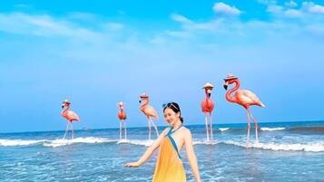 A beach scene with a person in a flowing dress and flamingos in the background.