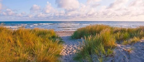 On the beach