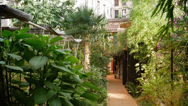 A wooden pathway surrounded by lush greenery and a building with a tiled roof in the background.
