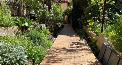 Un Zèbre en Ville, a quiet oasis in the heart of town