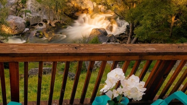 A wooden deck with a railing, a potted orchid, and a view of a flowing river with rocks and trees. - Yosemite, River falls Retreat — Bass Lake (Oakhurst)