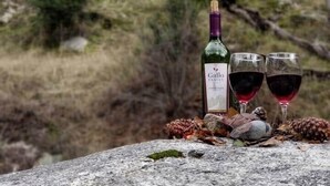 A bottle of wine and two glasses on a rock with pine cones and a pine tree in the background. - Yosemite, River falls Retreat — Bass Lake (Oakhurst)