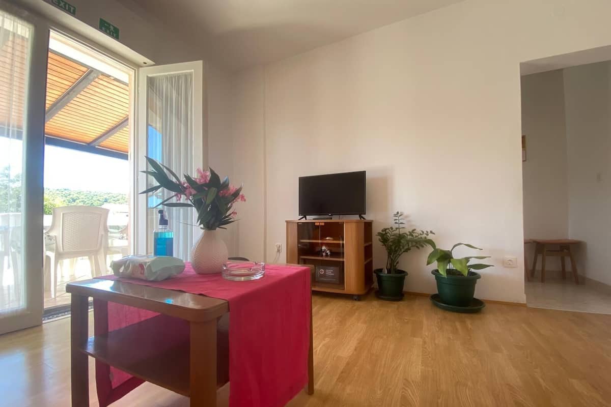 A room with a wooden floor, a table with a red tablecloth, a chair, a television on a wooden stand, and potted plants.