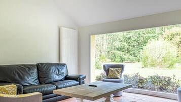 Fernseher, Kamin