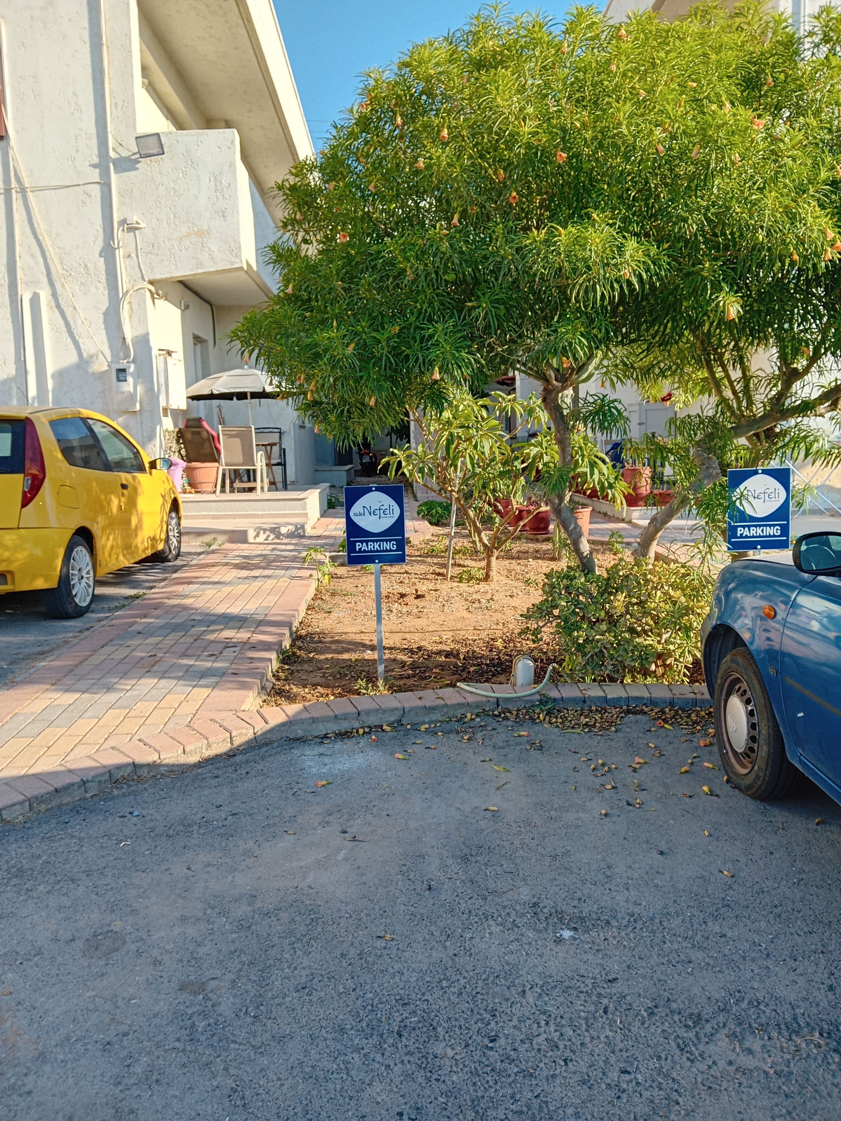 Una zona aparcament amb un arbre, un cotxe groc i un cotxe blau.