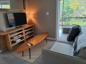 Smart-TV, Bücher