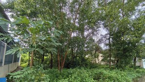 Un jardin avec différents arbres et arbustes, un chemin en béton et un bâtiment doté d’une porte bleue.